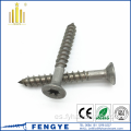 Tornillo de madera de acero inoxidable tornillo de tapping Torx